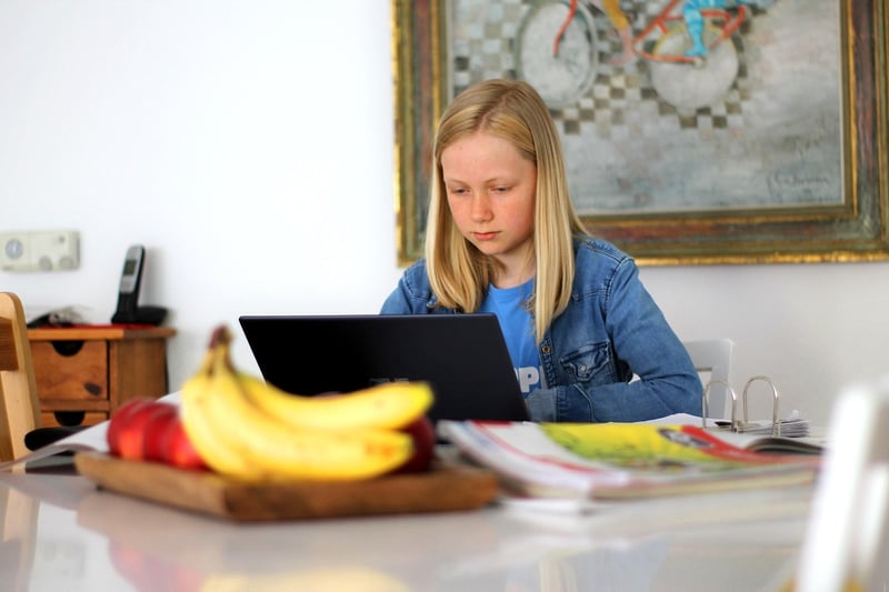 Online Learning